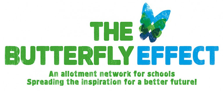 Butterfly Effect (logo)