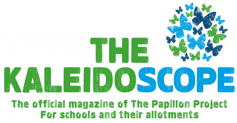 The Kaleidoscope Logo