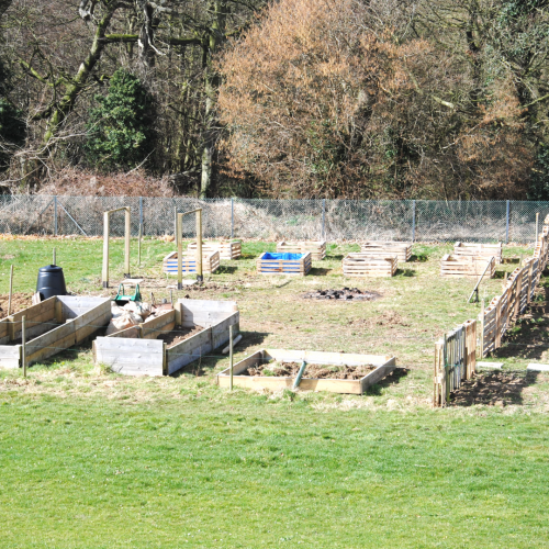 image30 (Large)
