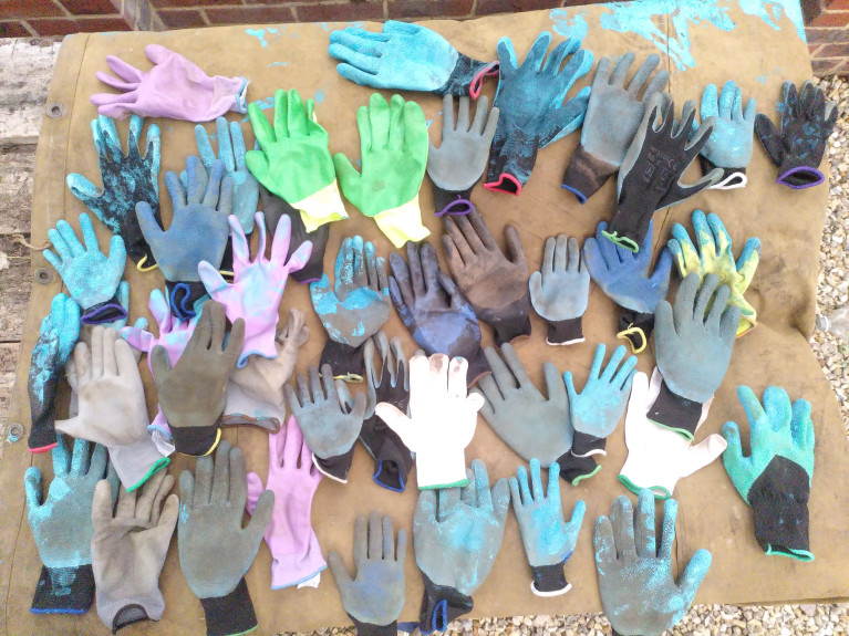 The Papillon Project - Testimonials and Reflections