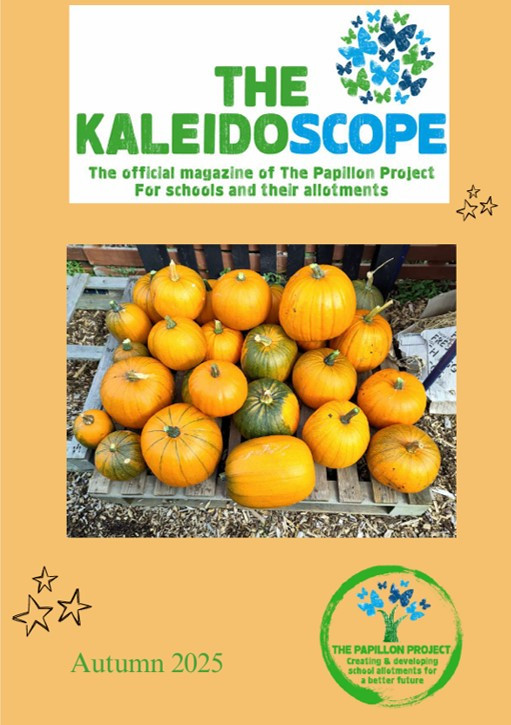Kaleidoscope (Autumn 2025) cover