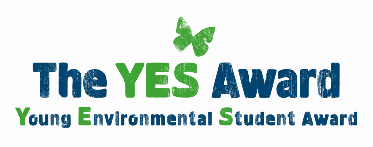 YES AWARD (2026)