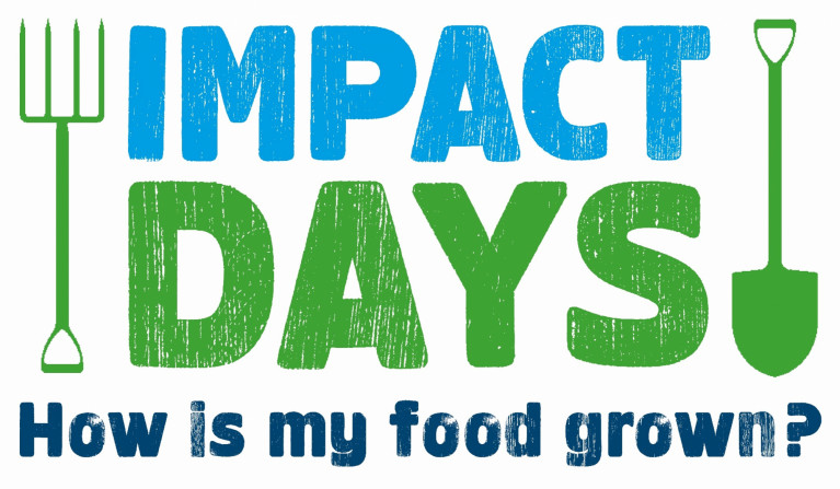 Impact day logo