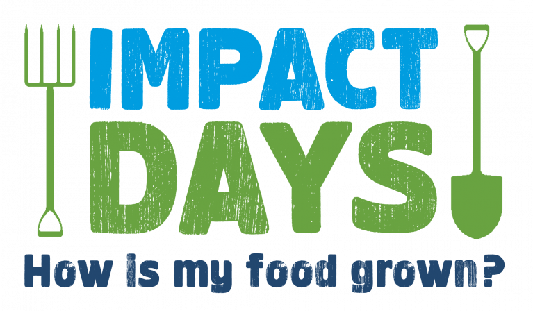 ImpactDay Logo