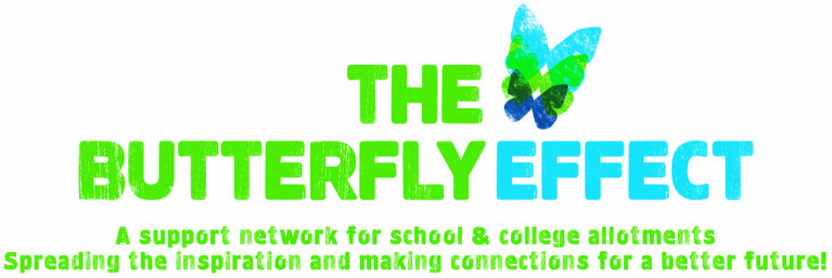 The Butterfly Effect Logo