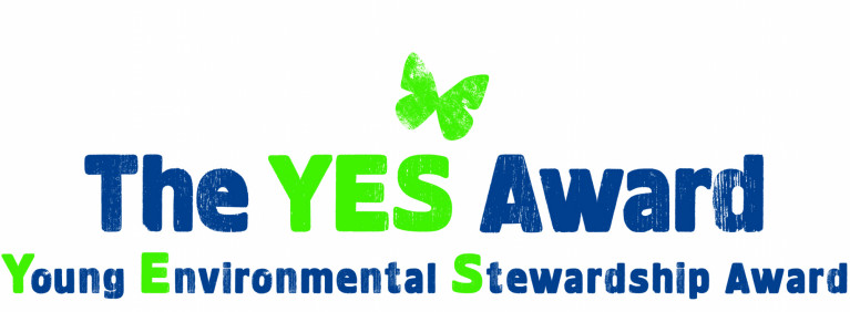 The Yes Award_logo
