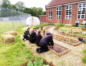 King's Lynn Academy