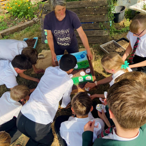 515019140_738769435353272_5536787944708645462_n